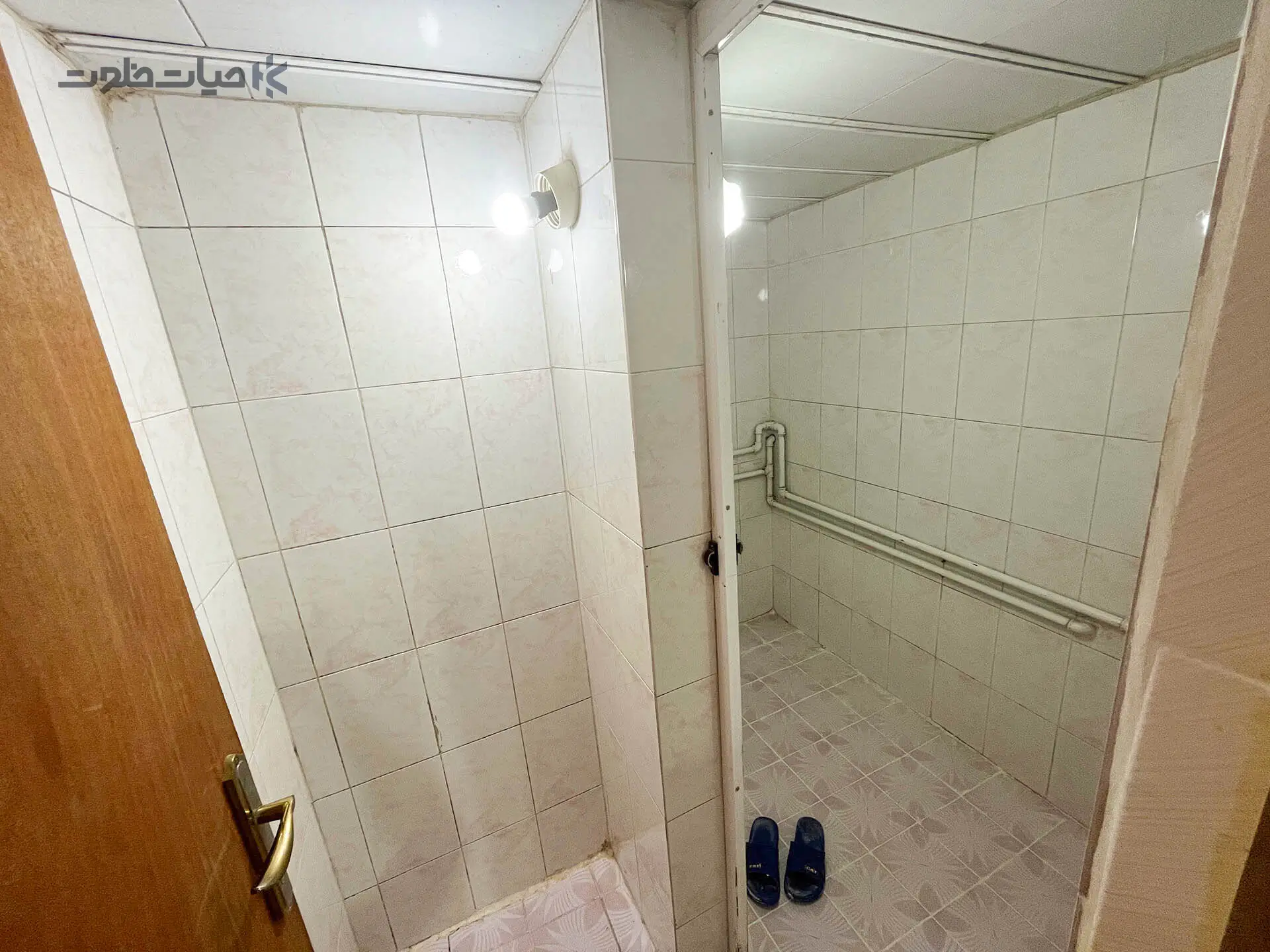 03.webp