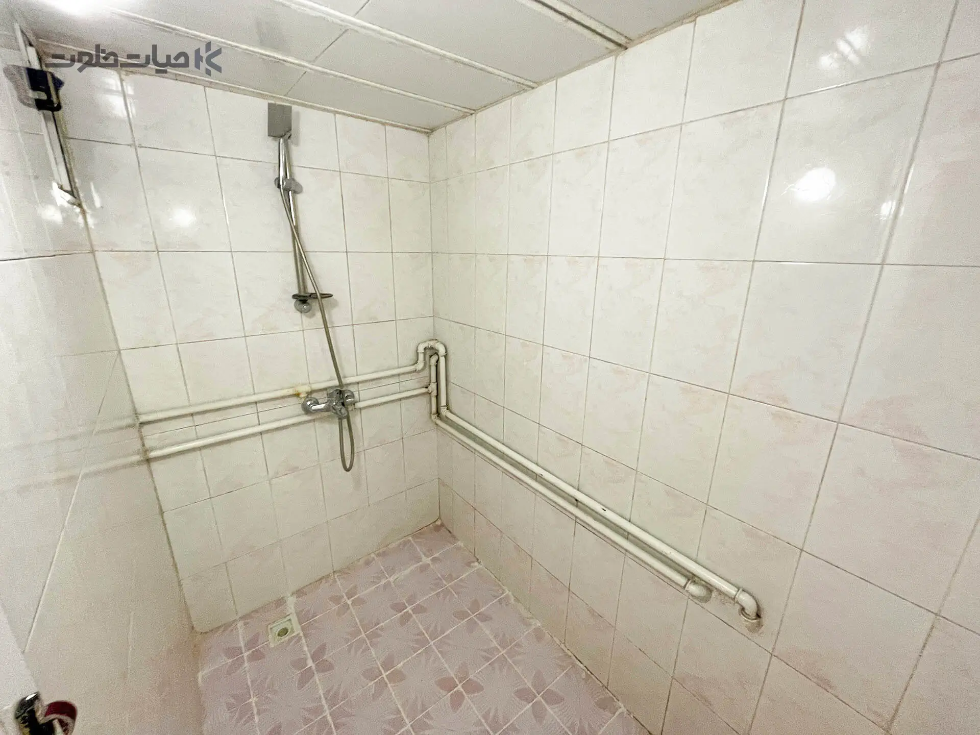 04.webp